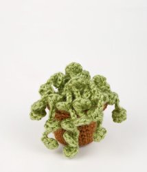 (image for) Succulent Collection 3: FOUR realistic crochet patterns