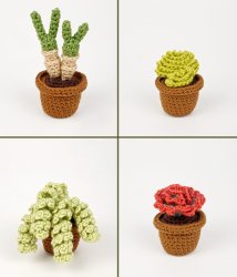 (image for) Succulent Collection 4: FOUR realistic crochet patterns