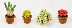 (image for) Succulent Collection 4: FOUR realistic crochet patterns