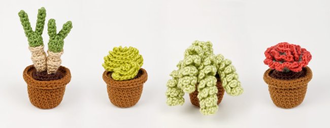 Succulent Collection 4: FOUR realistic crochet patterns - Click Image to Close