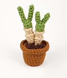 (image for) Succulent Collection 4: FOUR realistic crochet patterns