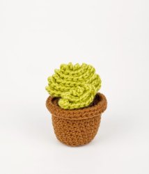 Succulent Collection 4: FOUR realistic crochet patterns