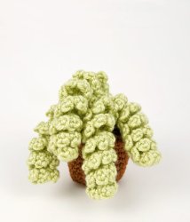 Succulent Collection 4: FOUR realistic crochet patterns