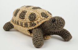 (image for) Tortoise amigurumi crochet pattern