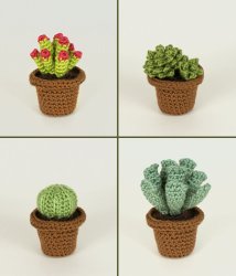 Succulent Collections 1 and 2 - EIGHT crochet patterns