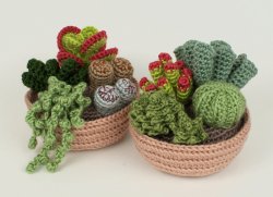 (image for) Succulent Collections 1 and 2 - EIGHT crochet patterns