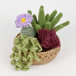 Succulent Collections 3 and 4 - EIGHT crochet patterns