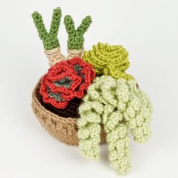 (image for) Succulent Collections 3 and 4 - EIGHT crochet patterns