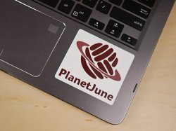 PlanetJune Vinyl Sticker