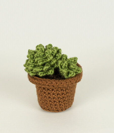 (image for) Succulent Collection 1: FOUR realistic crochet patterns - Click Image to Close