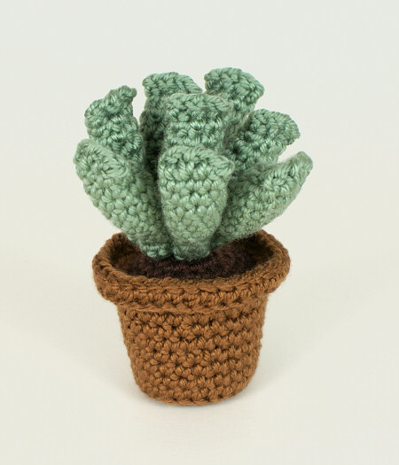 Succulent Collection 1: FOUR realistic crochet patterns - Click Image to Close