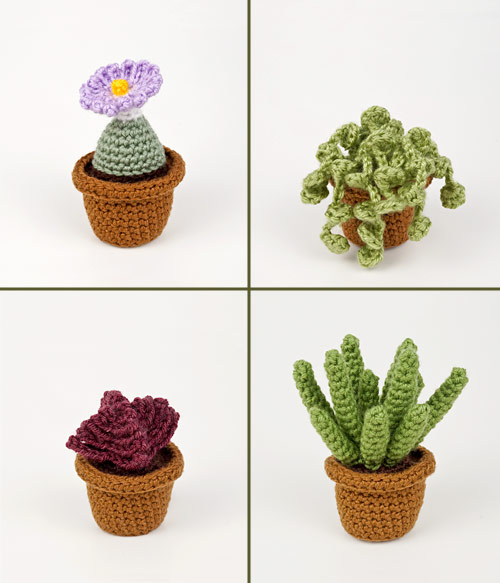 Succulent Collection 3: FOUR realistic crochet patterns - Click Image to Close