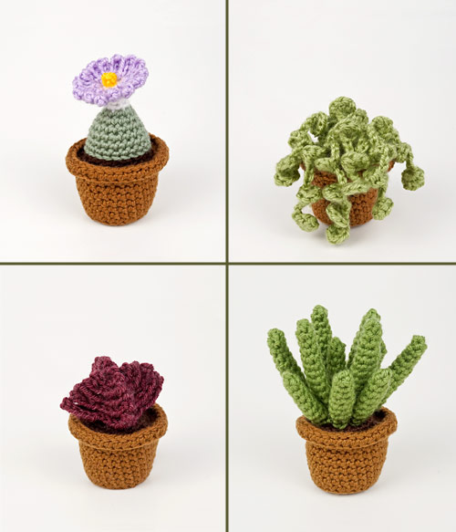 (image for) Succulent Collection 3: FOUR realistic crochet patterns - Click Image to Close