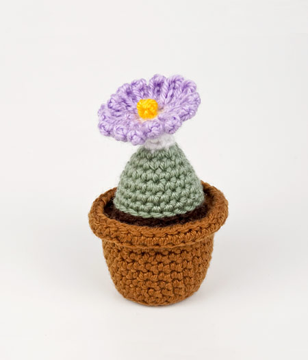 (image for) Succulent Collection 3: FOUR realistic crochet patterns - Click Image to Close