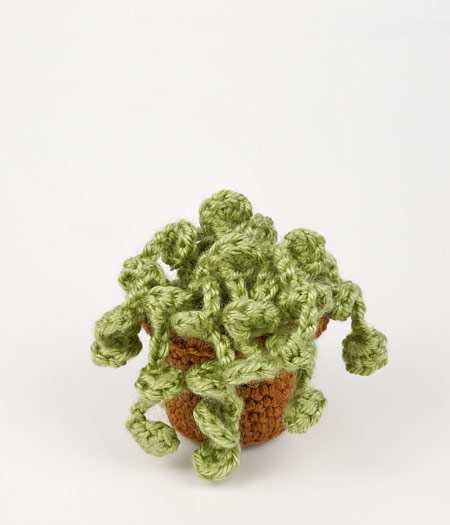 (image for) Succulent Collection 3: FOUR realistic crochet patterns - Click Image to Close
