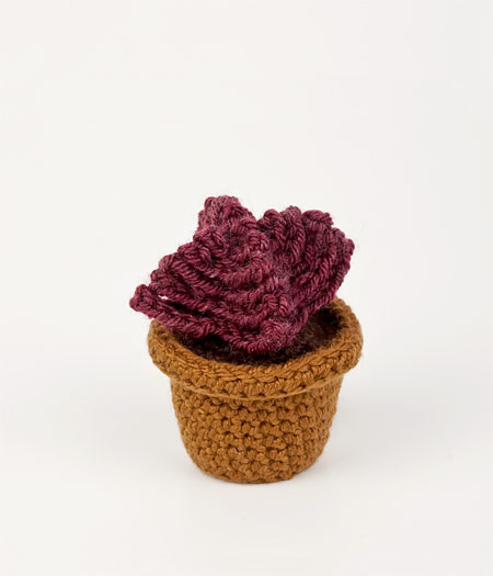 (image for) Succulent Collection 3: FOUR realistic crochet patterns - Click Image to Close