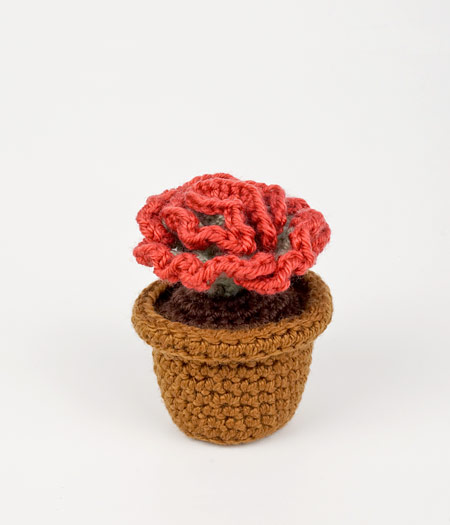 Succulent Collection 4: FOUR realistic crochet patterns - Click Image to Close